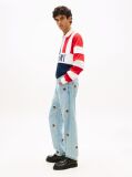 Denim Sonny Τζιν Σε Κανονική Tapered Γραμμή Με Κεντητό Σχέδιο  Άνδρες