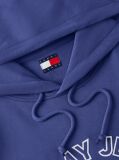 Μπλε Hoody Με Κουκούλα Και Λογότυπο  Άνδρες