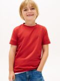 Κόκκινο Essential T-Shirt Απο Οργανικο Βαμβακι  Αγόρια