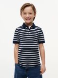 Multi Essential Flag Embroidery Regular Fit Polo  Boys