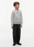 Γκρι Essential Φούτερ Με Λογότυπο  Παιδί Unisex