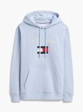 Blue Logo Embroidery Flex Fleece Hoody  Men
