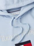 Blue Logo Embroidery Flex Fleece Hoody  Men