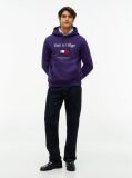 Μωβ Fleece Hoody Με Κεντητό Λογότυπο  Άνδρες