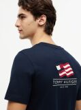 Μπλε Βαμβακερό T-Shirt Με Wavy Πίσω Σημαία  Άνδρες