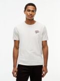 Beige Back Graphic Crew Neck T-Shirt  Men