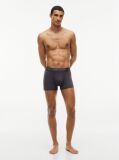 Multi 3-Pack Signature Essential Microfibre Trunks  Men