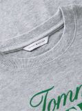Γκρι Άνετο Βαμβακερό T-Shirt Με Λογότυπο  Γυναίκες