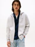 Γκρι Hoody Με Φερμουάρ Και Κανονική Γραμμή  Άνδρες