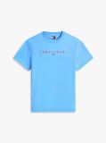 Μπλε T-Shirt Σε Κανονική Γραμμή Με Κεντητό Λογότυπο  Άνδρες