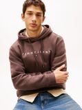 Καφέ Hoody Σε Κανονική Γραμμή Με Λογότυπο  Άνδρες