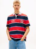 Multi Relaxed Fit Rugby Stripe Embroidery Polo Shirt  Men