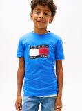 Μπλε T-Shirt Με Κυματιστή Σημαία Και Κλασική Λαιμόκοψη  Αγόρια