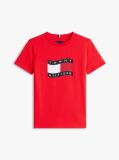 Κόκκινο T-Shirt Με Κυματιστή Σημαία Και Κλασική Λαιμόκοψη  Αγόρια
