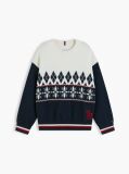 Multi Varsity Logo Fair Isle Jumper  Boys