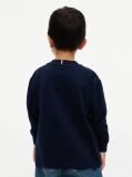 Μπλε Μακρυμάνικο T-Shirt Με Tartan Λογότυπο  Αγόρια