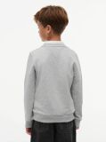 Γκρι Essential Φούτερ Με Λογότυπο  Παιδί Unisex