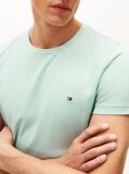Green Extra Slim Fit T-Shirt  Men