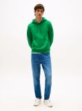 Πράσινο Hoody Από Βαμβακερό Terry Με Κεντητό Σημαιάκι  Άνδρες