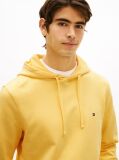 Κίτρινο Hoody Από Βαμβακερό Terry Με Κεντητό Σημαιάκι  Άνδρες