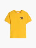 Πορτοκαλί T-Shirt Με Λογότυπο Και Κλασική Λαιμόκοψη  Άνδρες