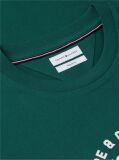 Πράσινο Βαμβακερό T-Shirt Με Varsity Λογότυπο  Άνδρες