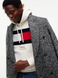 Beige Flag Embroidery Logo Fleece Hoody  Men