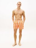 Multi Print Mid Length Swim Trunks  Men