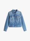 Μπλε Denim Τζάκετ Σε Slim Γραμμή  Γυναίκες