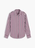 Multi Regular Fit Stripe Shirt  Women