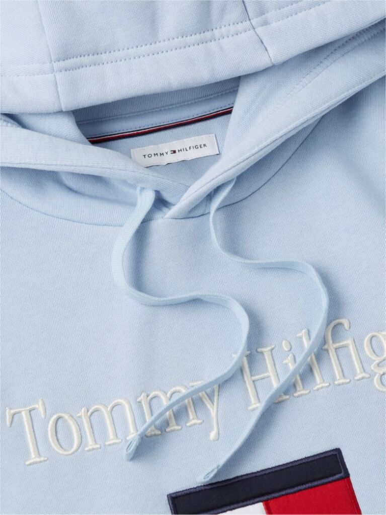 Blue Logo Embroidery Flex Fleece Hoody  Men