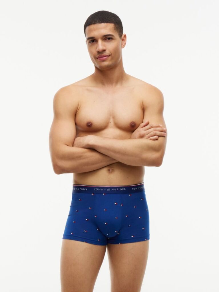 Multi 3-Pack Global Stripe Logo Waistband Trunks  Men