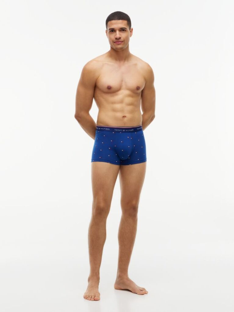 Multi 3-Pack Global Stripe Logo Waistband Trunks  Men