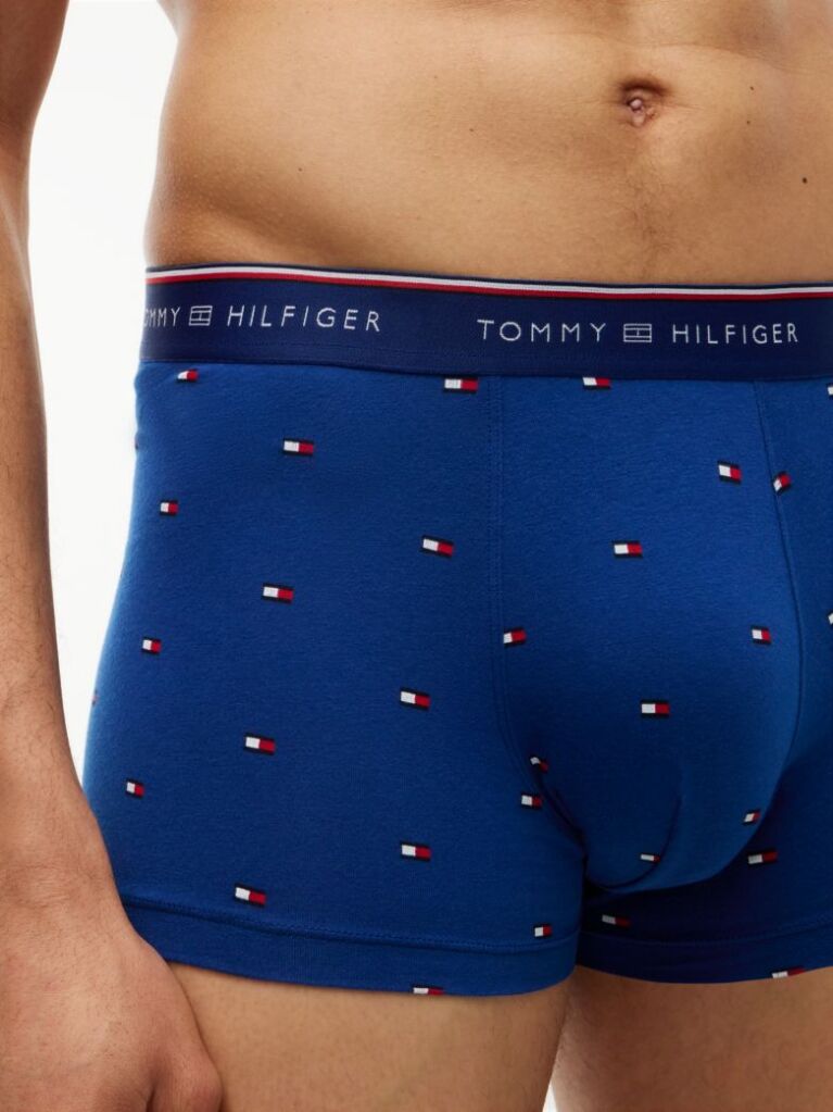 Multi 3-Pack Global Stripe Logo Waistband Trunks  Men
