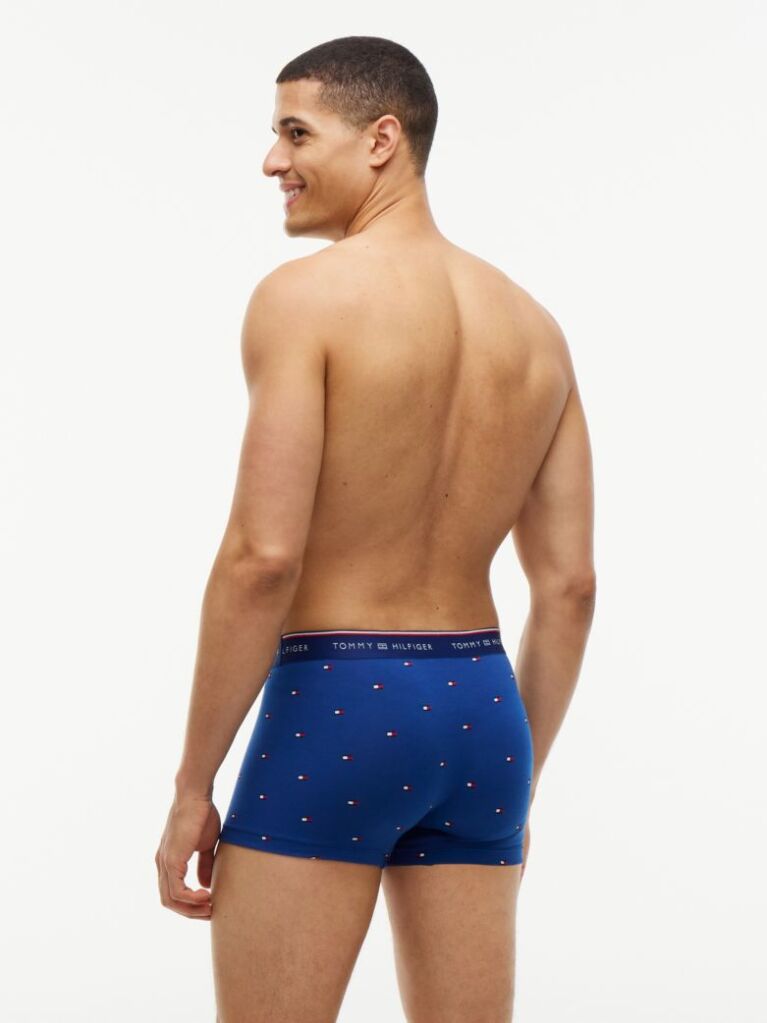 Multi 3-Pack Global Stripe Logo Waistband Trunks  Men