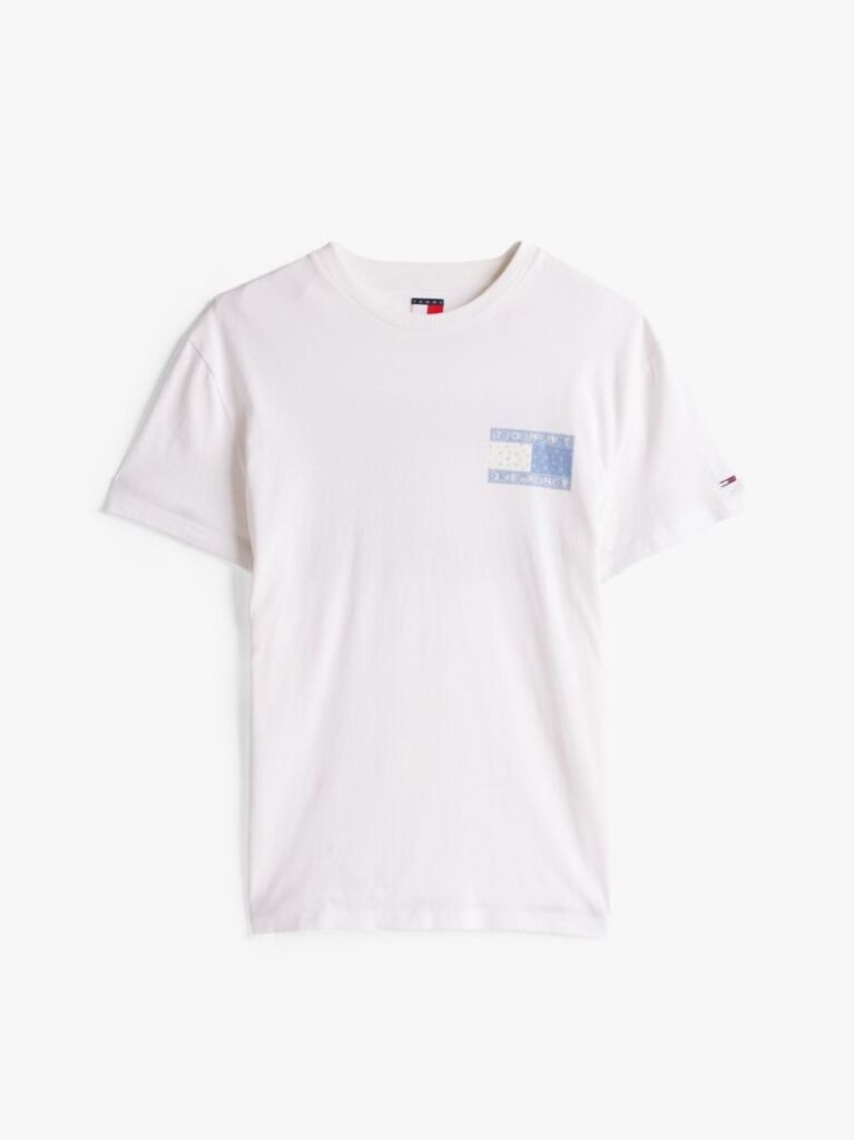 Μπεζ T-Shirt Με Paisley Λογότυπο  Άνδρες