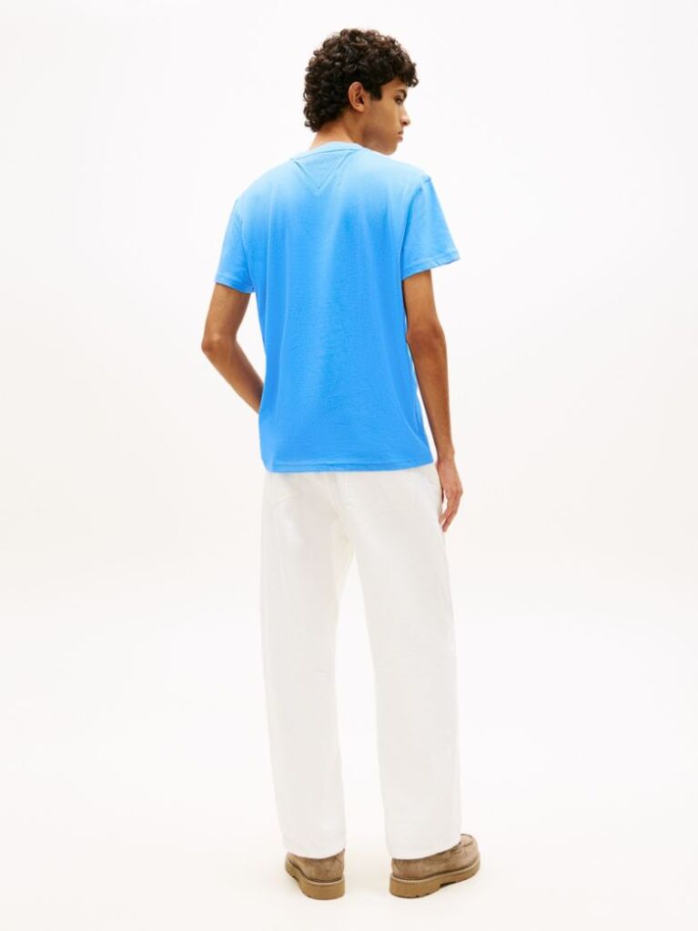 Μπλε T-Shirt Με Κλασική Λαιμόκοψη Και Σημαία Tommy  Άνδρες