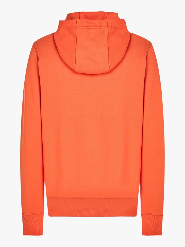Πορτοκαλί Hoody Από Βαμβακερό Terry Με Κεντητό Σημαιάκι  Άνδρες