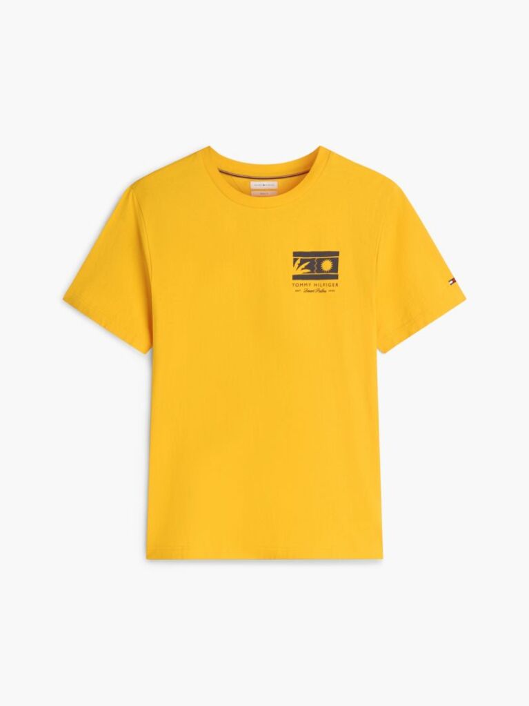 Πορτοκαλί T-Shirt Με Λογότυπο Και Κλασική Λαιμόκοψη  Άνδρες