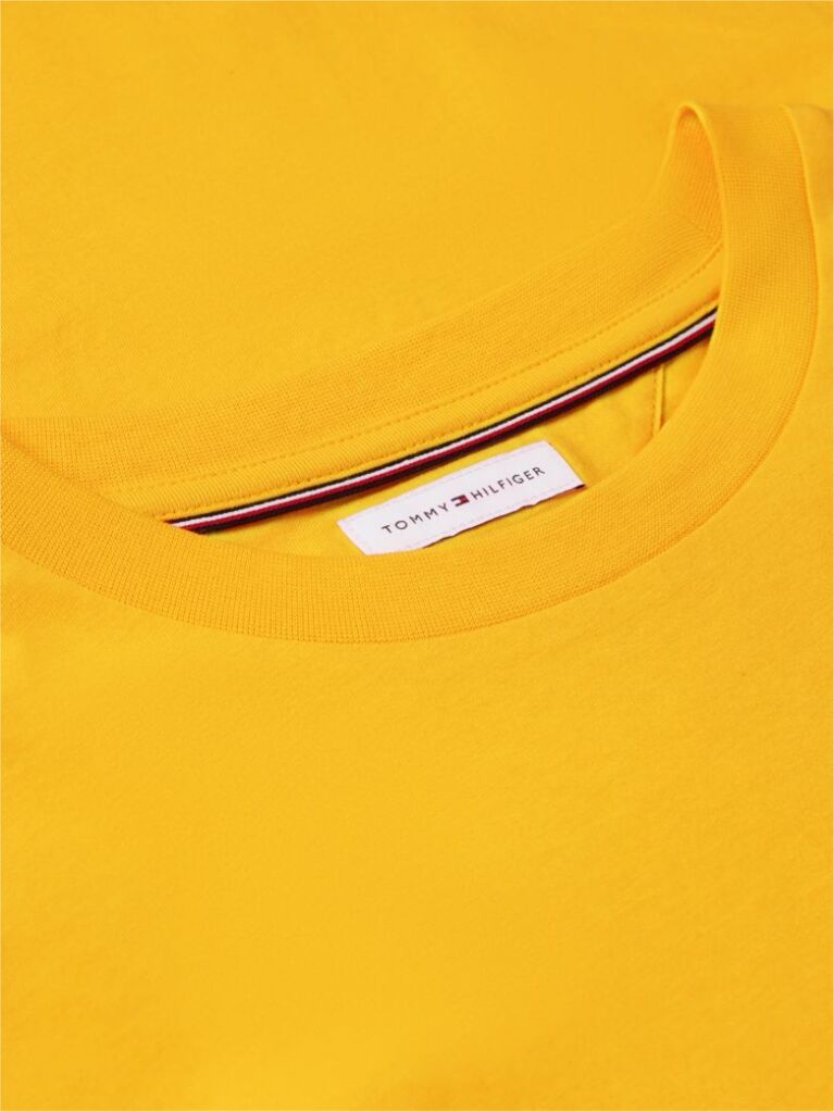 Πορτοκαλί T-Shirt Με Λογότυπο Και Κλασική Λαιμόκοψη  Άνδρες