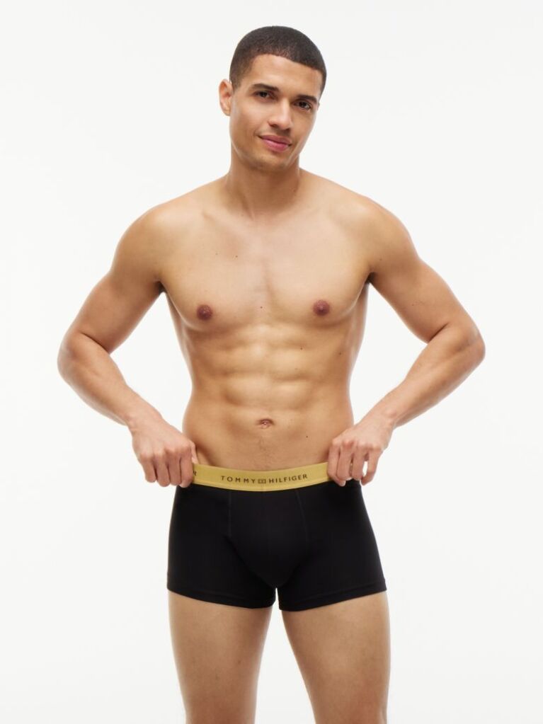 Multi 3-Pack Signature Metallic Logo Waistband Trunks  Men